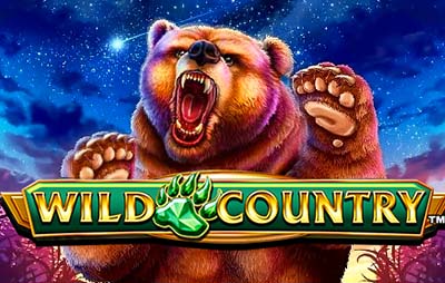 Wild Country